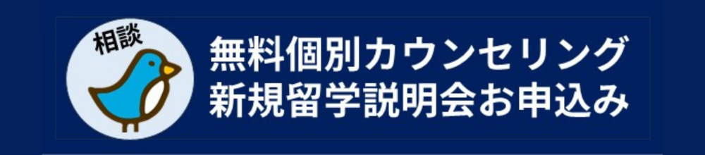 個別カウンセリング