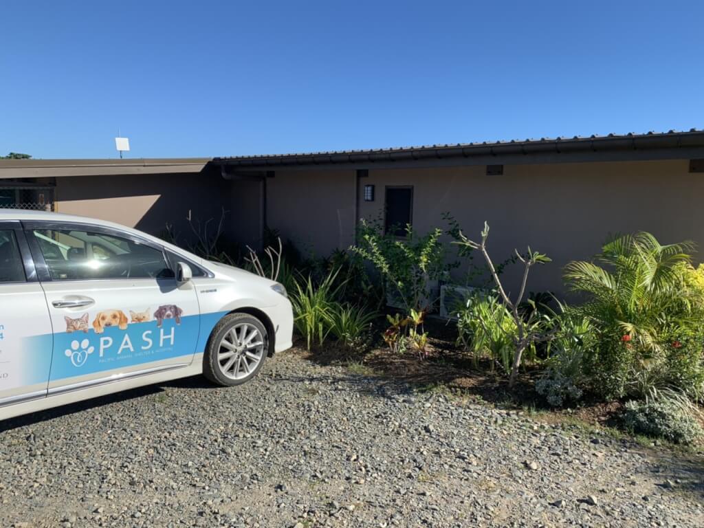 【Ratu Navula】PASHでのボランティア体験談